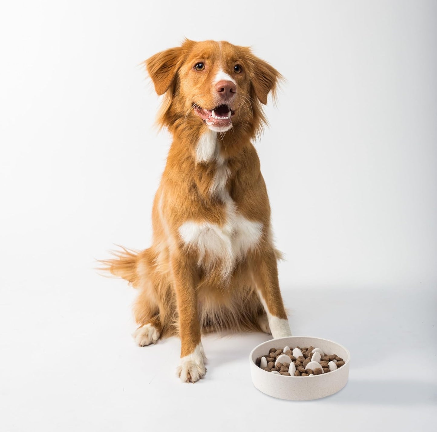 Titan Bamboo Slow Feeder Dog Bowl Large with Ultra Grip Rubber Base Pet Bowl 8 Inch