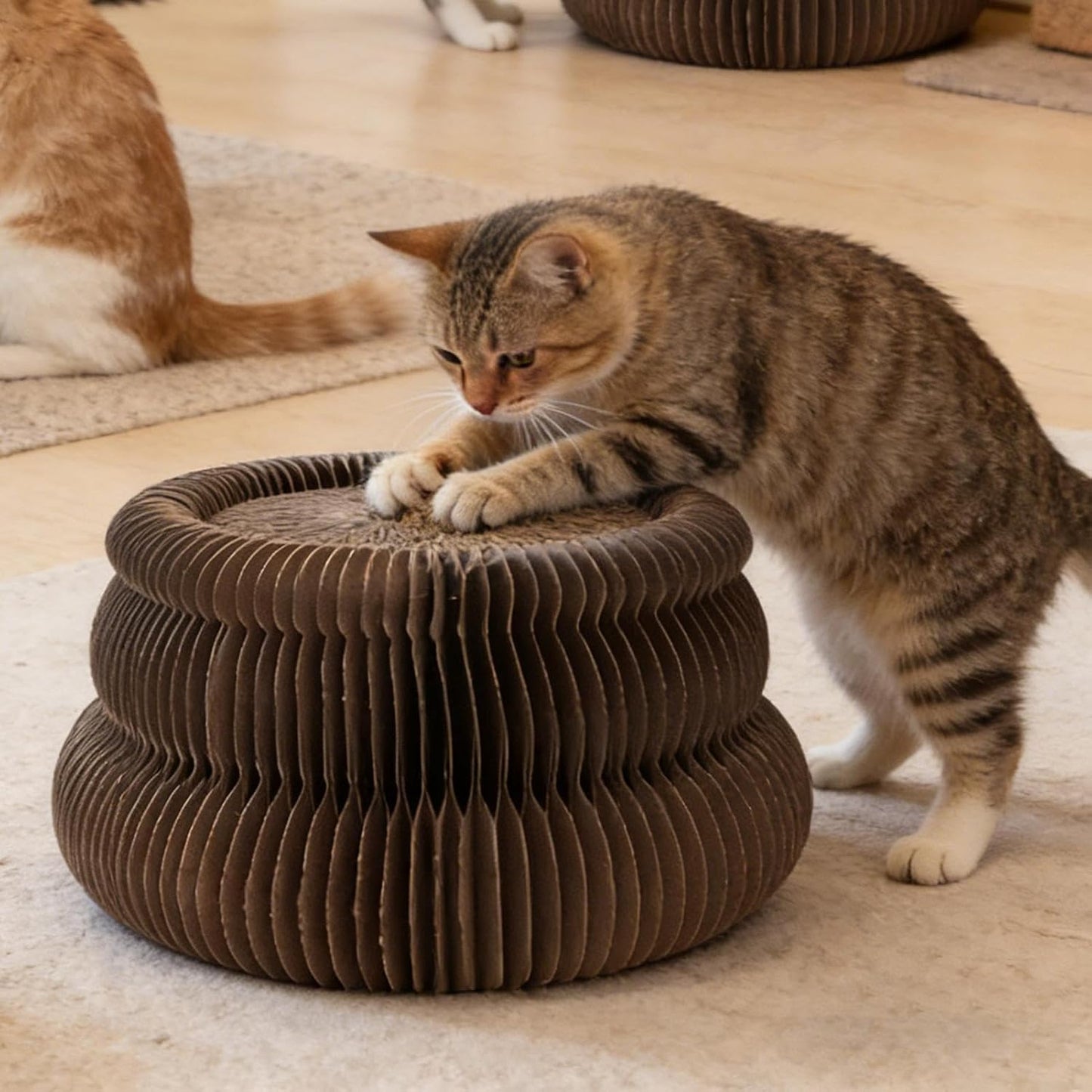 Cat Scratching Board Toy - Physical Exercise Cardboard Scratcher | Accordion Design Scratch Board - for Indoor Outdoor Home Farmhouse Apartment Garage Backyard Balcony Living Room Bedroom