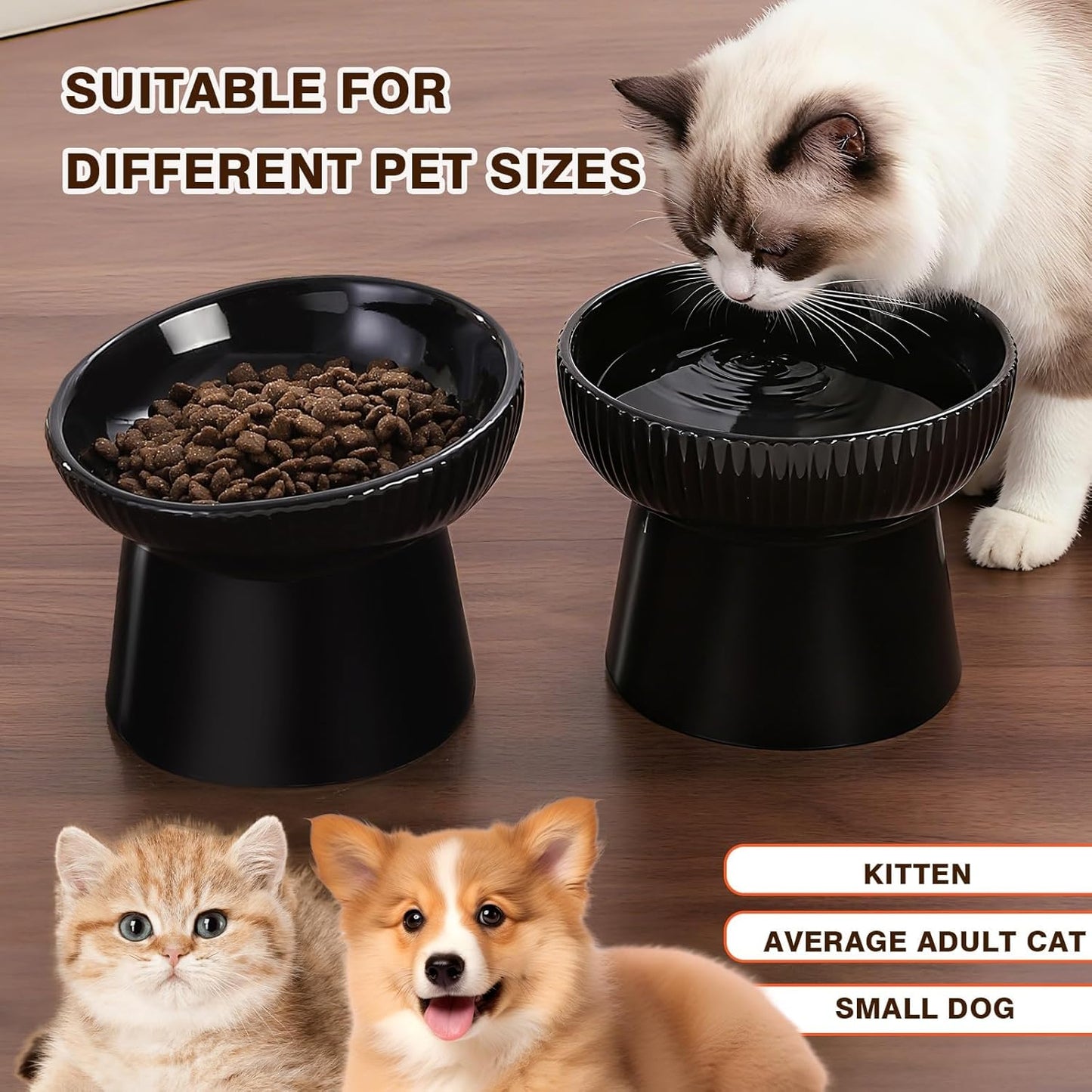 Elevated Cat Food Bowl, Ceramic Raised and Tilted Water Bowl, Whisker Fatigue Cat Bowls for Indoor Cats, Anti Vomiting and Protect Spines Pet Feeding Dishes for Kittens Small Dog, Heavy Non-Slip Base