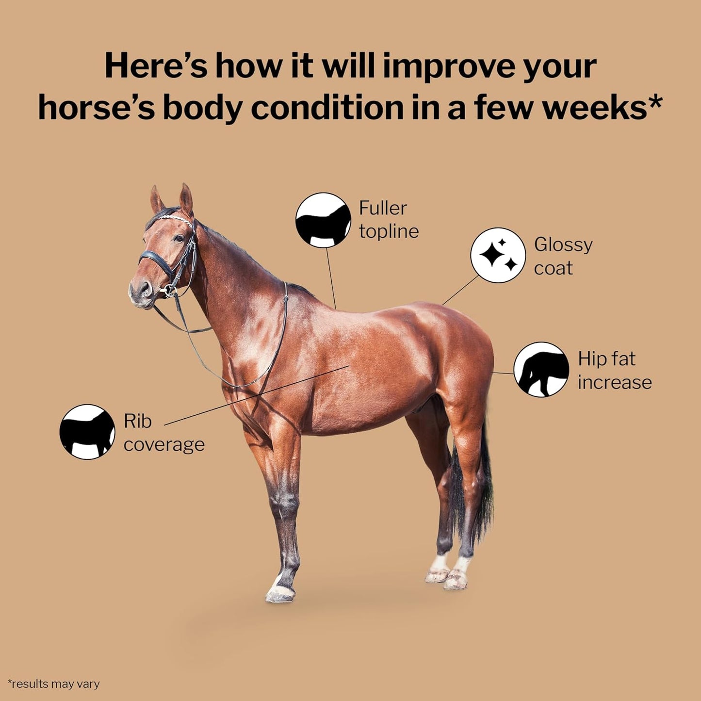 Formula 707 Weight Gain Powder Equine Supplement, 16lb Bucket – Palatable, Calorie-Rich Nutritional Support for Hard-to-Keep and Senior Horses