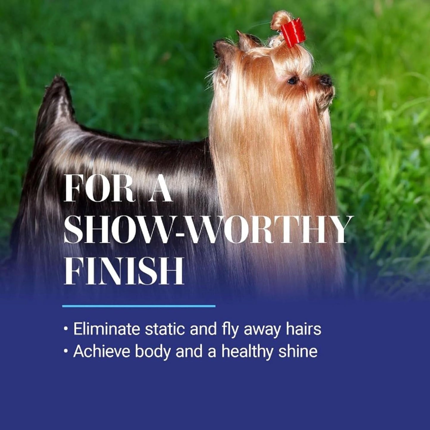 Chris Christensen Ice on Ice Detangler and Finishing Dog Spray, Groom Like a Professional, Ready to Use, Helps Brush/Comb Glide Through Coat, Conditions, No Residue, All Coat Types, Made in USA, 16 oz