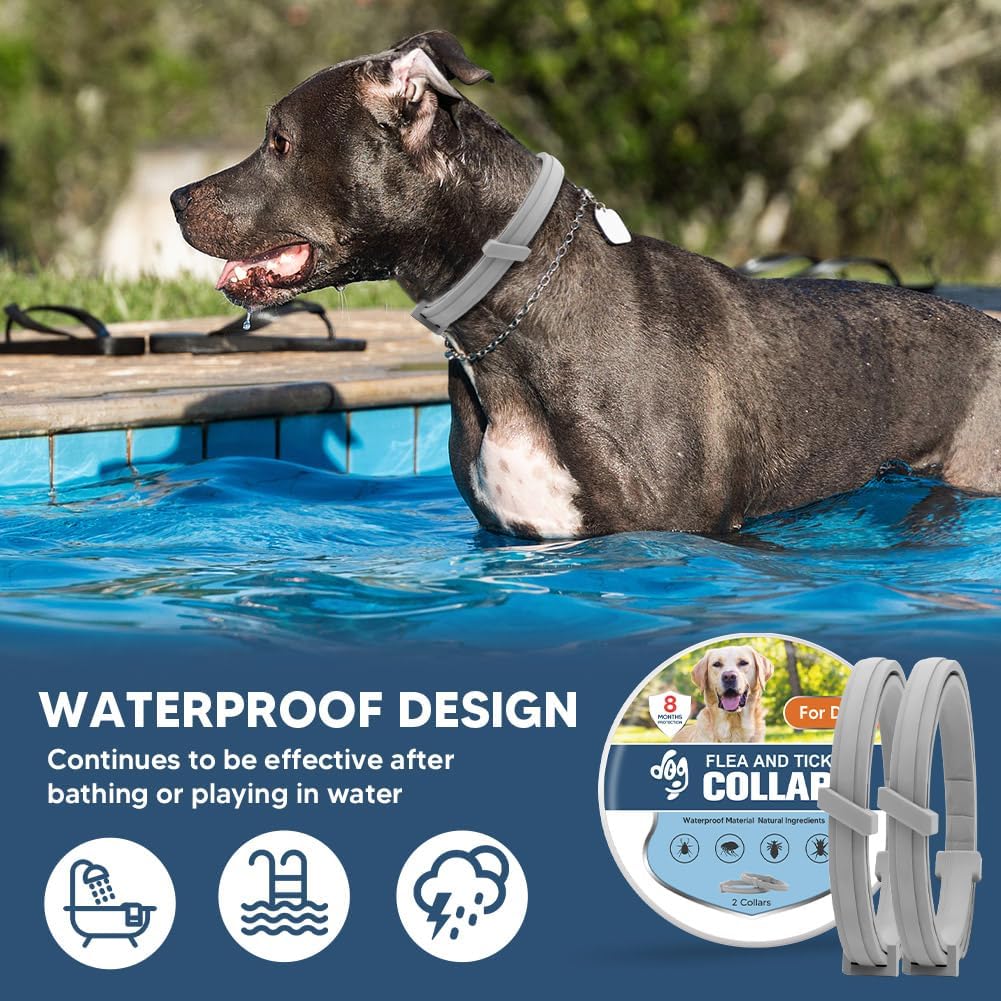 Flea Collars for Dog, Flea & Tick Collar for Dogs, Tick Collar for Large Dogs, Upgraded Sturdy & Adjustable 8 Months Prevention-Pack of 2