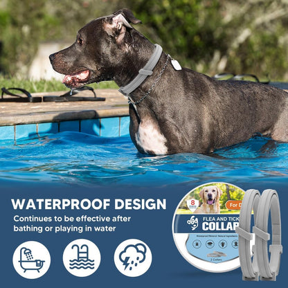 Flea Collars for Dog, Flea & Tick Collar for Dogs, Tick Collar for Large Dogs, Upgraded Sturdy & Adjustable 8 Months Prevention-Pack of 2