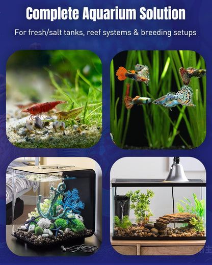 Pawfly 100 Pcs Aquarium Test Strips 6 in 1 Digital Water Testing Kit, Fish Tank Testing Strips for pH Nitrate Nitrite Chlorine Total Hardness & Carbonate, Fresh/Salt Aquarium Water Test Kit