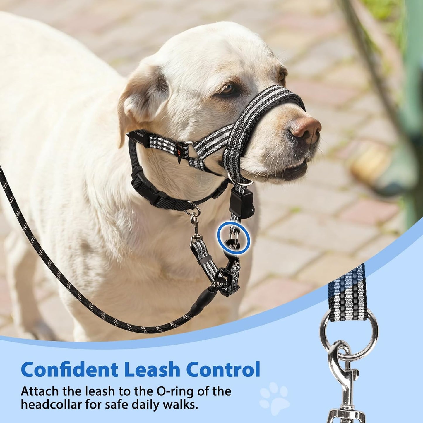 BARKLESS No Pull Dog Head Collar for Gentle Training Walking, Soft Padded Head Halter with Collar Safety Clip, Comfortable Fit Muzzle Leash with Reflective Strap for Medium Large Dog (Grey, XL)