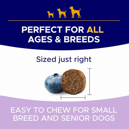 Probiotics for Dogs + Digestive Enzymes - Omega & Pumpkin - Gut Health & Immunity Support - Relieves Diarrhea, Gas, Constipation - Made in USA - 120 Chews Pack of 1 Lamb