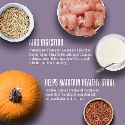 Whole Life Dog Gut Health Bundle – Living Treats with Pumpkin, Healthy Gut Daily Probiotic Supplement, Just One Chicken Freeze-Dried Dog Treats – Digestive Support, Human Grade, USA Made