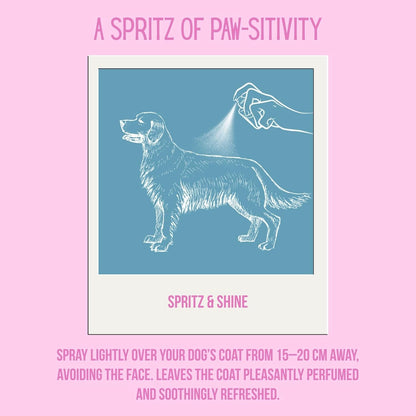 The 100% Natural Dog Cologne Spray - Tropical Bliss Dog Perfume - Calming- Vegan - Chamomile, Calendula & Aloe Vera calming - Pet Deodorizing Spray - Made in the UK - 10 Fl Oz