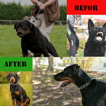 Prong Pinch Collar for Dogs with Quick Release Buckle, Adjustable Training Collar for Small Medium Large Dogs, Helps Prevent Dog from Pulling(2.3mm, Neck Size 13"-15"), Silver