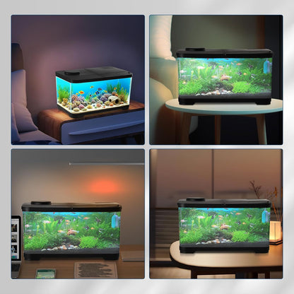 Small Aquarium, Turtle Tank Starter Kit with LED Light, Oxygen Generator, Hydropics Basket, Aquarium for Crabs, Fishes, Amphibians, Reptiles Enthusiasts Beginners