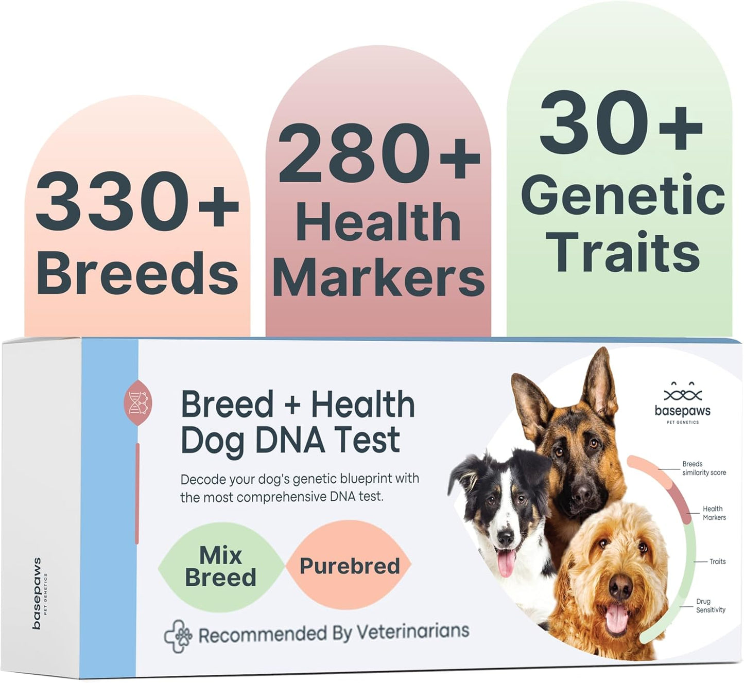 Basepaws Dog DNA Testing Kit - 330+ Breeds, 280+ Health Risks, and 30+ Traits - Comprehensive Mixed Breed Identification, Pet DNA Test kit, Canine Genetic Ancestry and Heritage