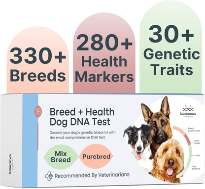Basepaws Dog DNA Testing Kit - 330+ Breeds, 280+ Health Risks, and 30+ Traits - Comprehensive Mixed Breed Identification, Pet DNA Test kit, Canine Genetic Ancestry and Heritage