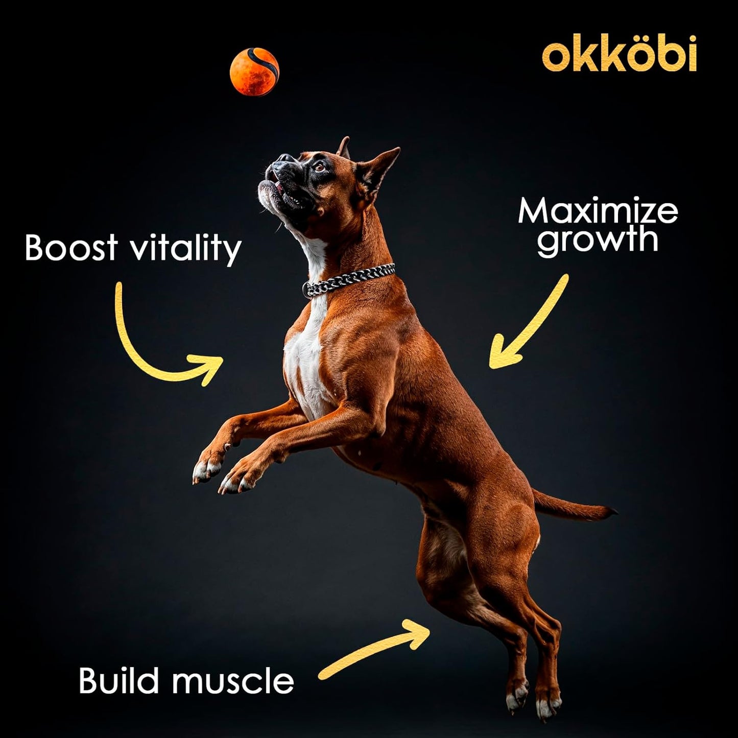 11-in-1 Muscle Gain Chews - Weight Gain Supplements for Dogs with High Protein & Amino Acids - Premium Muscle Builder for Bully & All Breeds - Healthy for Puppies - 150 Chews - Chicken