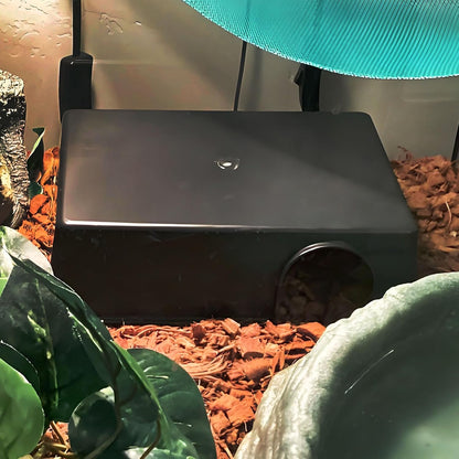 Hamiledyi 5 Pcs Reptile Plants Terrarium Hanging Fake Plant Leaves and Reptile Hide Box 4 Pcs Leopard Gecko Hide Snake Hideout for Ball Python for Lizard, Corn Snake