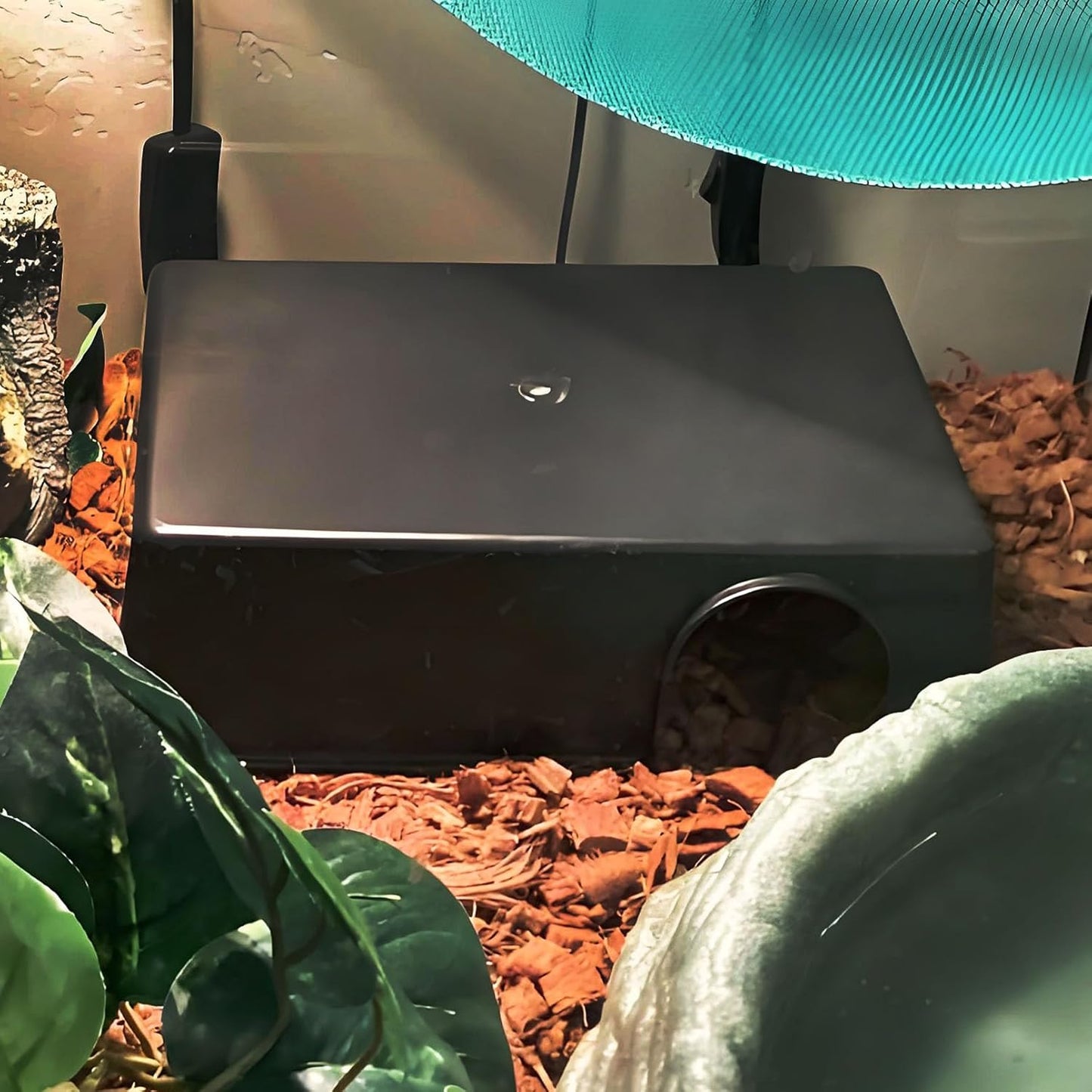 Hamiledyi 5 Pcs Reptile Plants Terrarium Hanging Fake Plant Leaves and Reptile Hide Box 4 Pcs Leopard Gecko Hide Snake Hideout for Ball Python for Lizard, Corn Snake