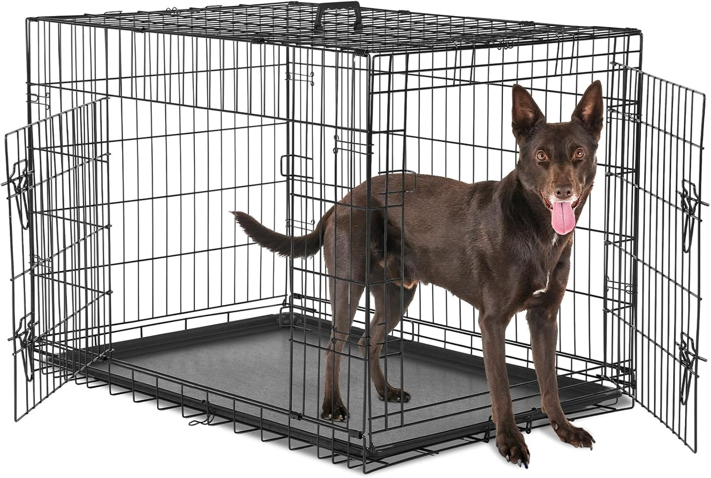 Sweetcrispy Large Dog Crate with Divider Panel, 36 Inch Double Door Folding Metal Wire Dog Cage with Plastic Leak-Proof Pan Tray, Pet Kennel for Indoor, Outdoor, Travel, 36S