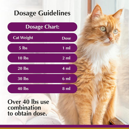 No More Worms in Cats and Kittens - Dewormer for Cats - Ham Flavour with 3ml Dropper