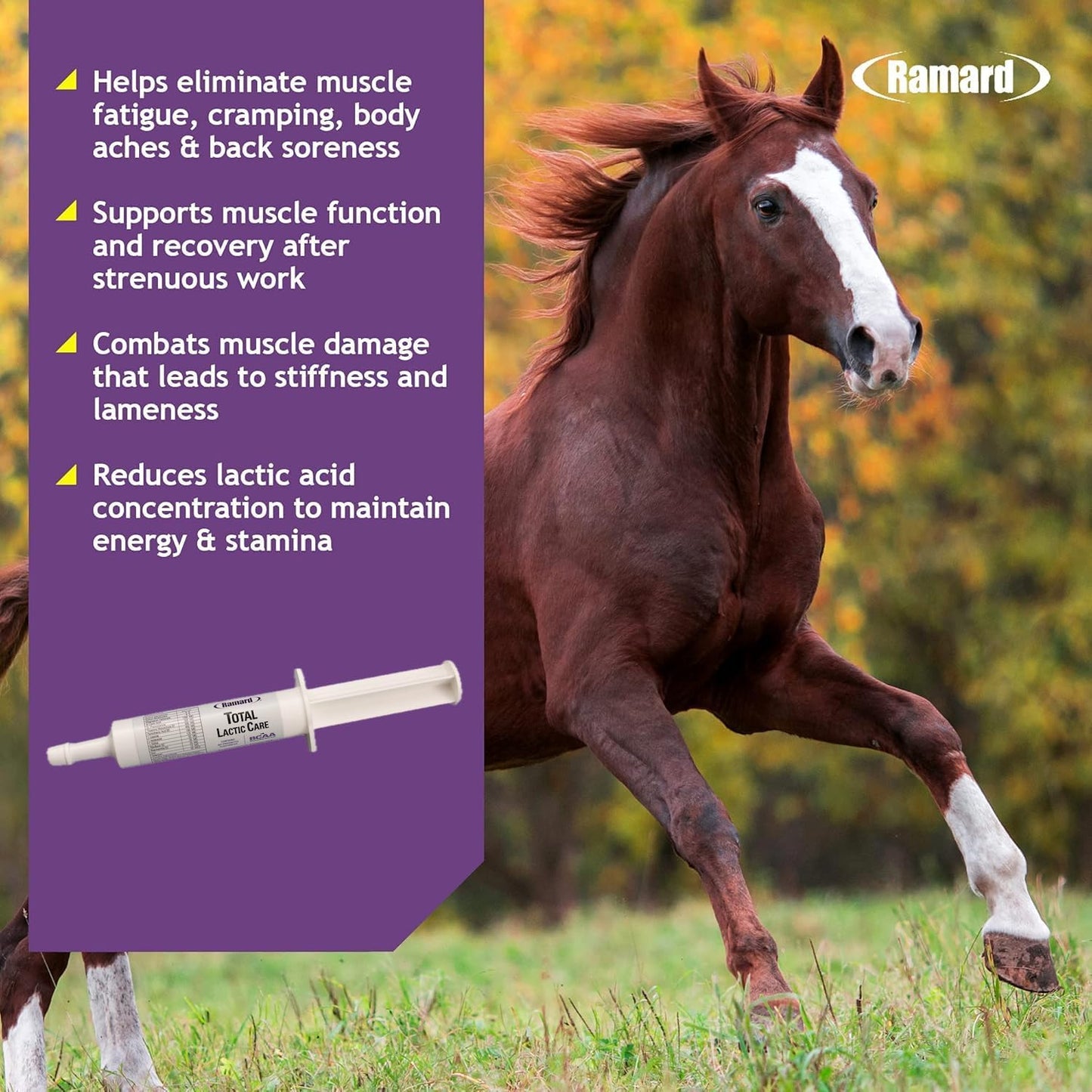 Ramard Total Lactic Care for Aging Horses, Supports Muscle Function, Energy & Stamina Horse Supplies, Vitamin & Supplements w/Branch Chain Amino Acids, 30cc Oral Syringe, 1pk