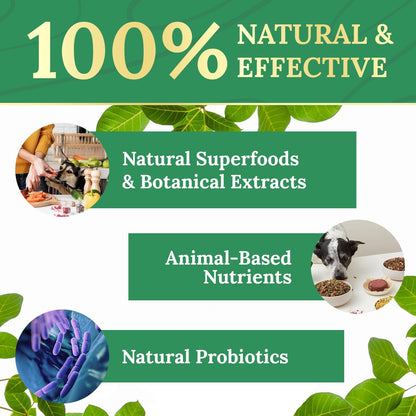 Pawbiotix Liquid probiotics for Dogs - Dog probiotics for Digestive Health | 100% Natural Dog Gut Health probiotics | probiotics for Dogs | Original Formula, Beacon Flavor, 1oz, 1 Month Supply