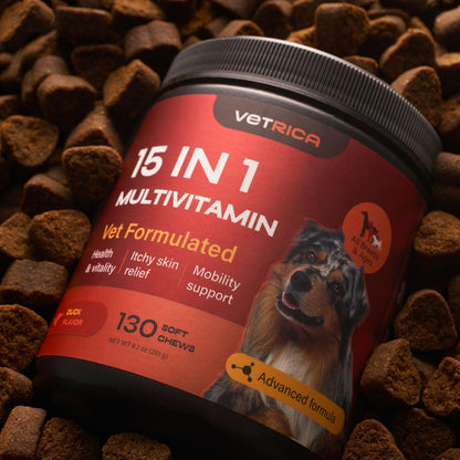 Dog Multivitamin Chews - Vitamins 15 in 1 - Joint Supplement for Dogs - Canine Vitamins & Supplements for Hip & Joint, Immune System, Glucosamine Chondroitin - Coat & Mobility - Itchy Skin Support