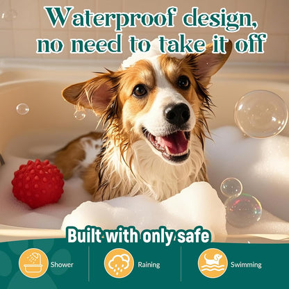 Probiotics for Dogs, Improve Itchy Skin Itchy Ears + Calming Collar for Dogs