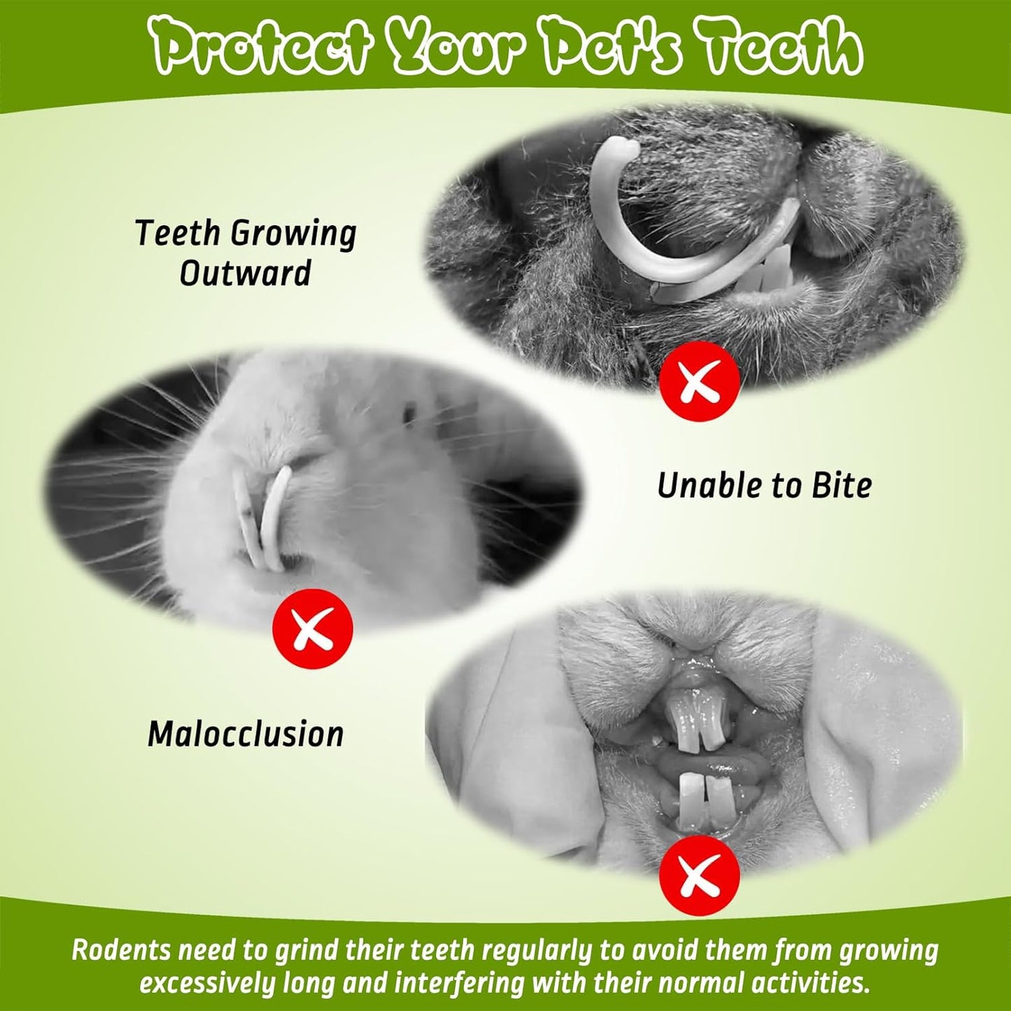 PINVNBY Natural Rabbit Chew Toys Organic Papaya Wood Bunny Treats with Alfalfa Hay and Dried Flower Guniea Pig Molar Snacks for Hamster Chinchilla Gerbil Small Animals Teeth Grinding (7.05 oz/200 g)