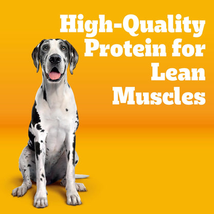 Pedigree Large Breed Dry Dog Food, Roasted Chicken, Rice and Vegetable Flavor, 16 lb. Bag