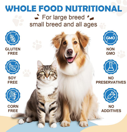 Dog Probiotics with Pumpkin, Prebiotics & Digestive Enzymes, 6 Billion CFU Dog Probiotic Powder for Digestive Health, Gut & Immune Health, Chicken Flavor, 89 Scoops