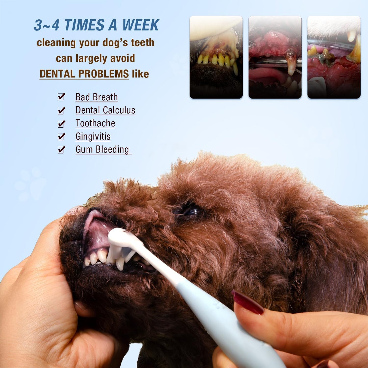 Ultra Soft Nano Dog Toothbrush Kit for Small Breed, Silicone 360 Pet Tooth Brushes for Dogs Cat,Canine Dental Care Set of 3 Different Shapes