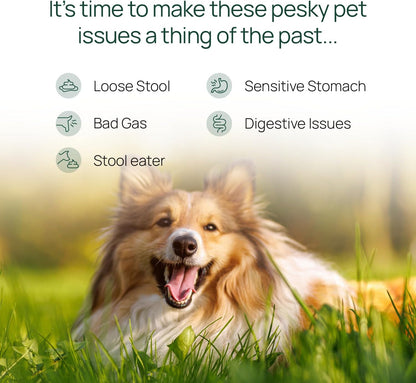 pawTree Bundle for Dogs & Cats – Freeze-Dried Raw Food (1.5 lbs, Chicken) & Gastro Pro Plus (30 ct)– Complete Nutrition & Digestive Support