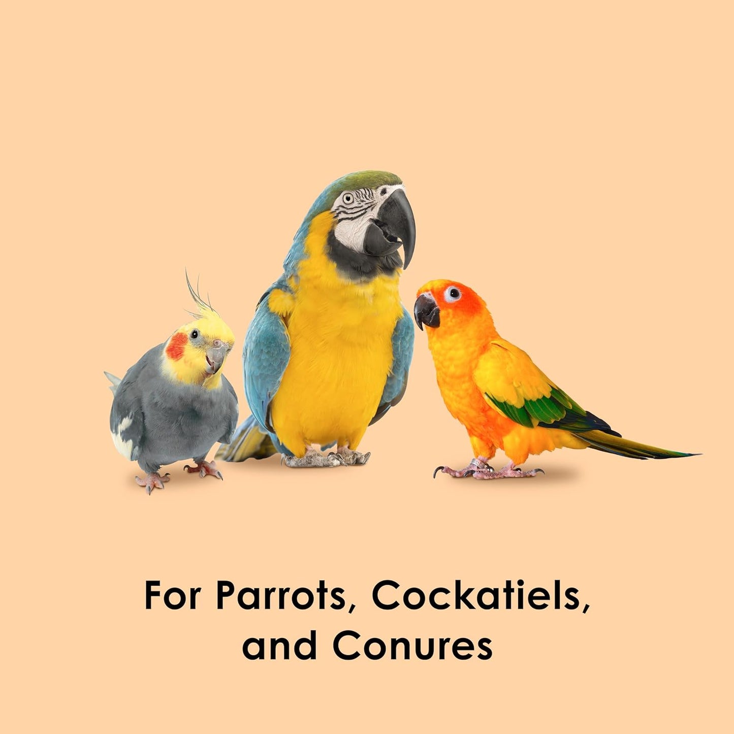 Kaytee Fiesta Healthy Toppings Papaya Bits For All Pet Birds, 2.5-Oz Bag