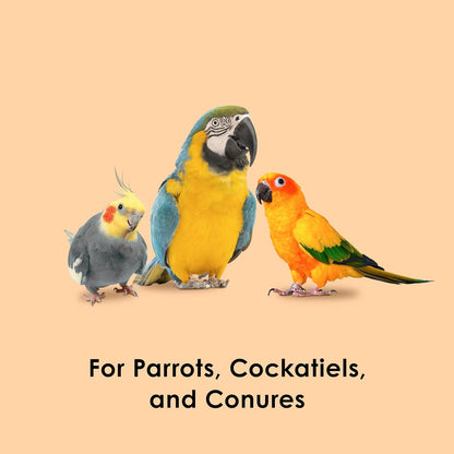 Kaytee Fiesta Healthy Toppings Papaya Bits For All Pet Birds, 2.5-Oz Bag