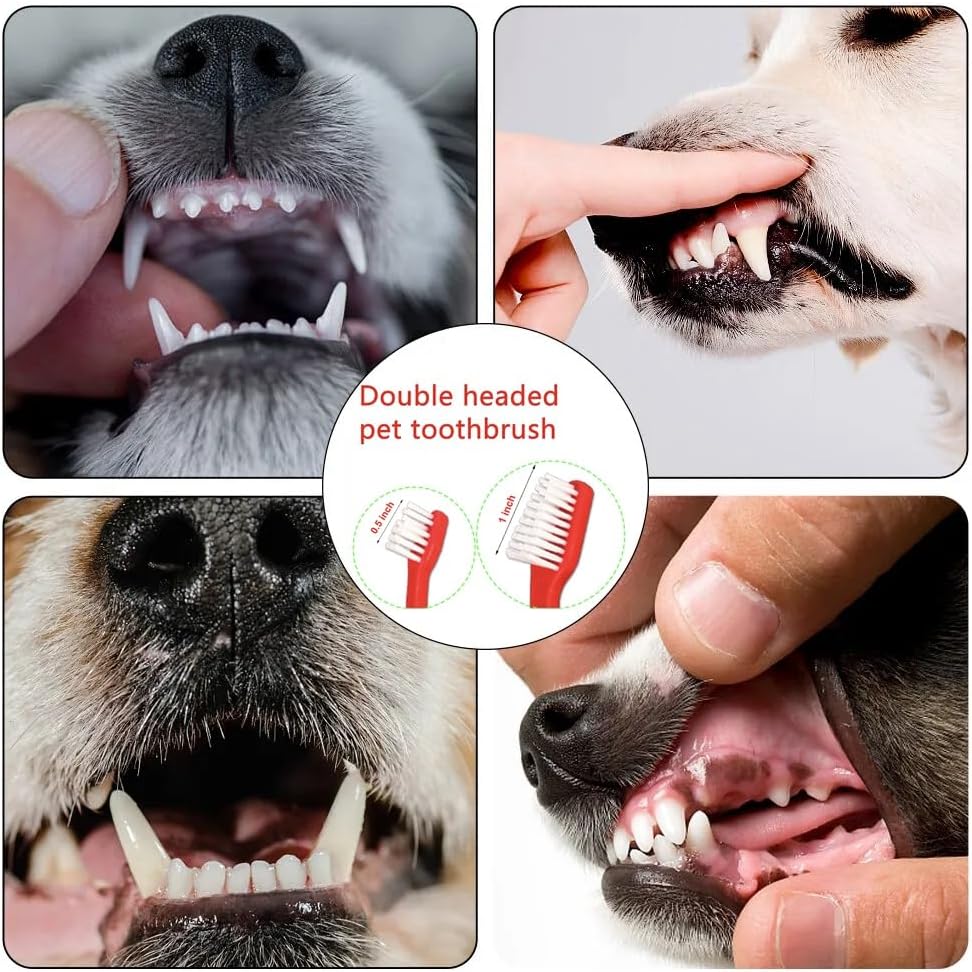 Dog Toothbrush Set of 8 – Dual Headed Dental Hygiene Brushes for Small to Large Dogs, Easy Teeth Cleaning & Dental Care,Dog Tooth Brushes for Small to Large Dogs, Cats, and Most Pets