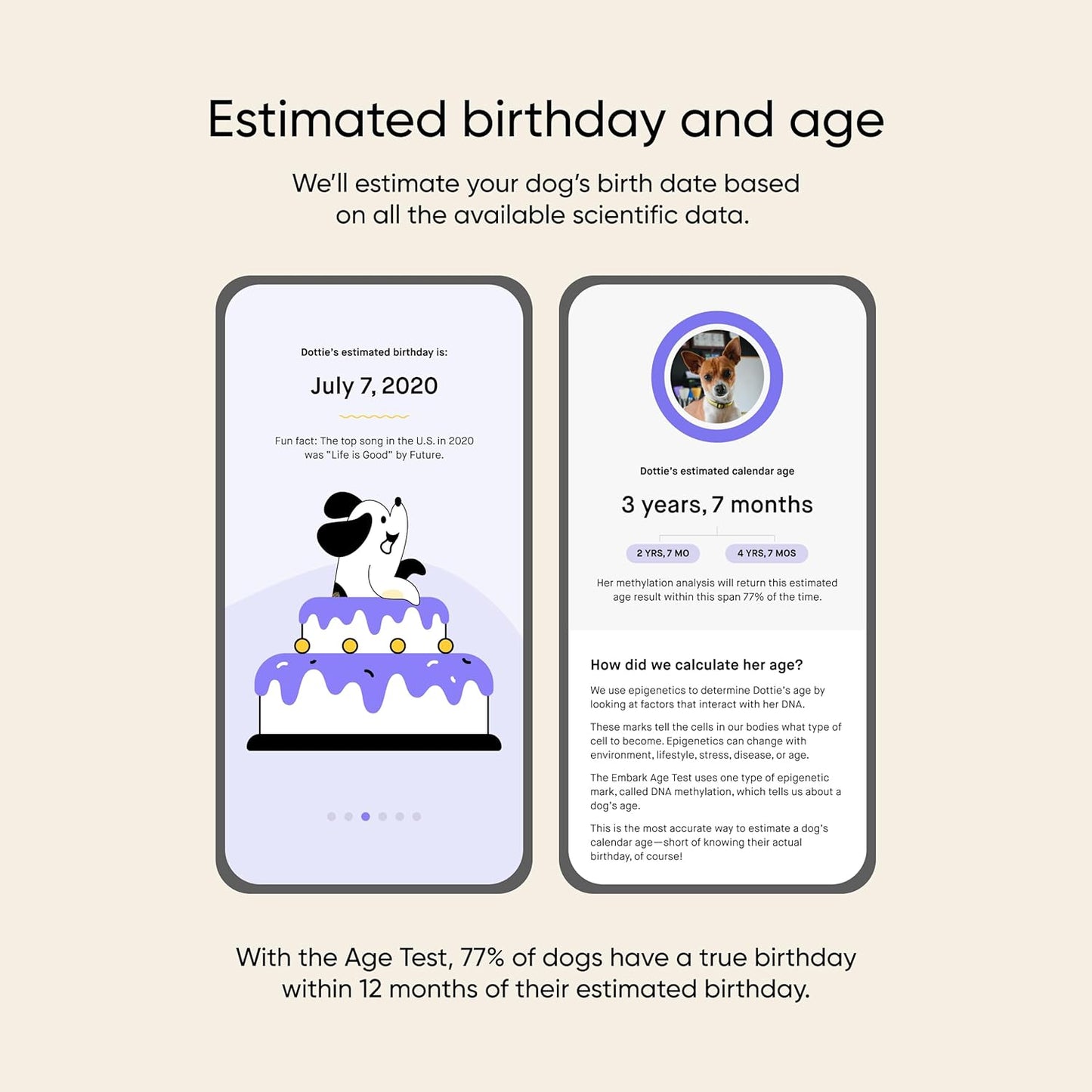Embark Breed + Health Dog DNA Test & Dog Age Test Bundle - Discover Breed, Ancestry, Relatives, Genetic Health, Traits, and Birthday