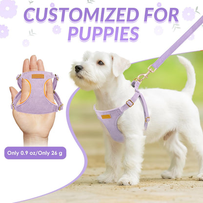 Lukovee No Pull Small Dog Harness with Leash - Lightweight Soft Puppy Vest Harnesses, Adjustable Pet Harnesses for Puppy Small Dogs (Purple, XS)