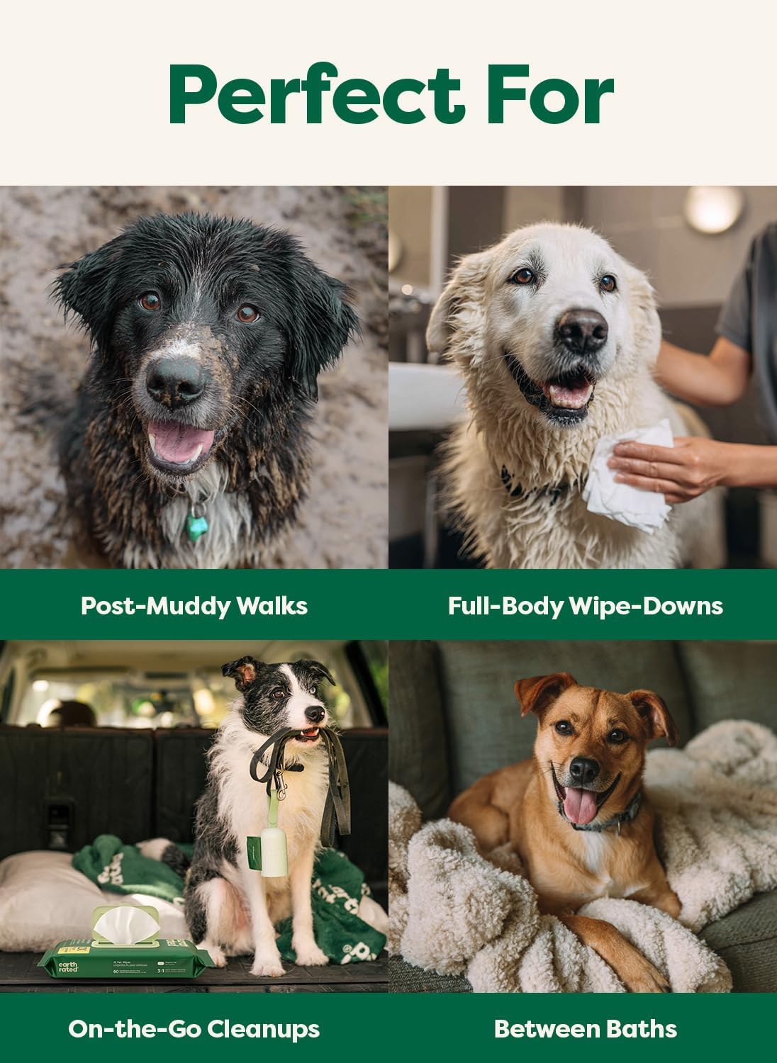 Earth Rated XL Pet Wipes for Dogs & Cats, 3-in-1 Unscented Hypoallergenic Cleaning, Deodorizing and Hydrating Extra Large Grooming for Body, Paws and Butt, Unscented, 60 Count
