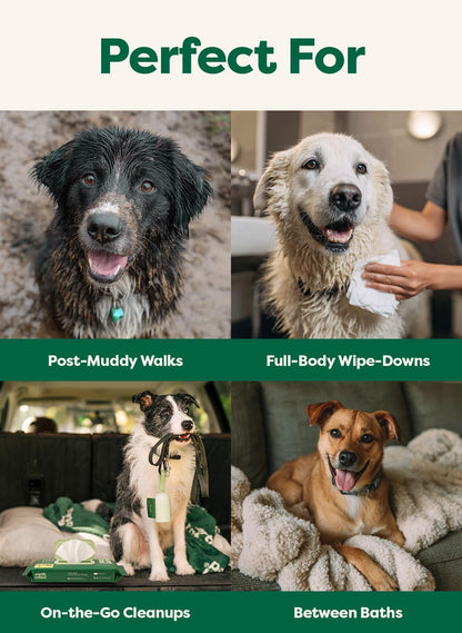 Earth Rated XL Pet Wipes for Dogs & Cats, 3-in-1 Unscented Hypoallergenic Cleaning, Deodorizing and Hydrating Extra Large Grooming for Body, Paws and Butt, Unscented, 60 Count