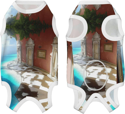 Blue Ocean Dog Surgery Suit Recovery Suit, 100% Cotton Breathable Full Body Dog & Cat Surgical Suit with Cute Prints, Alternative to Cone for Spay Neuter Wound Care, Male & Female Pets Large