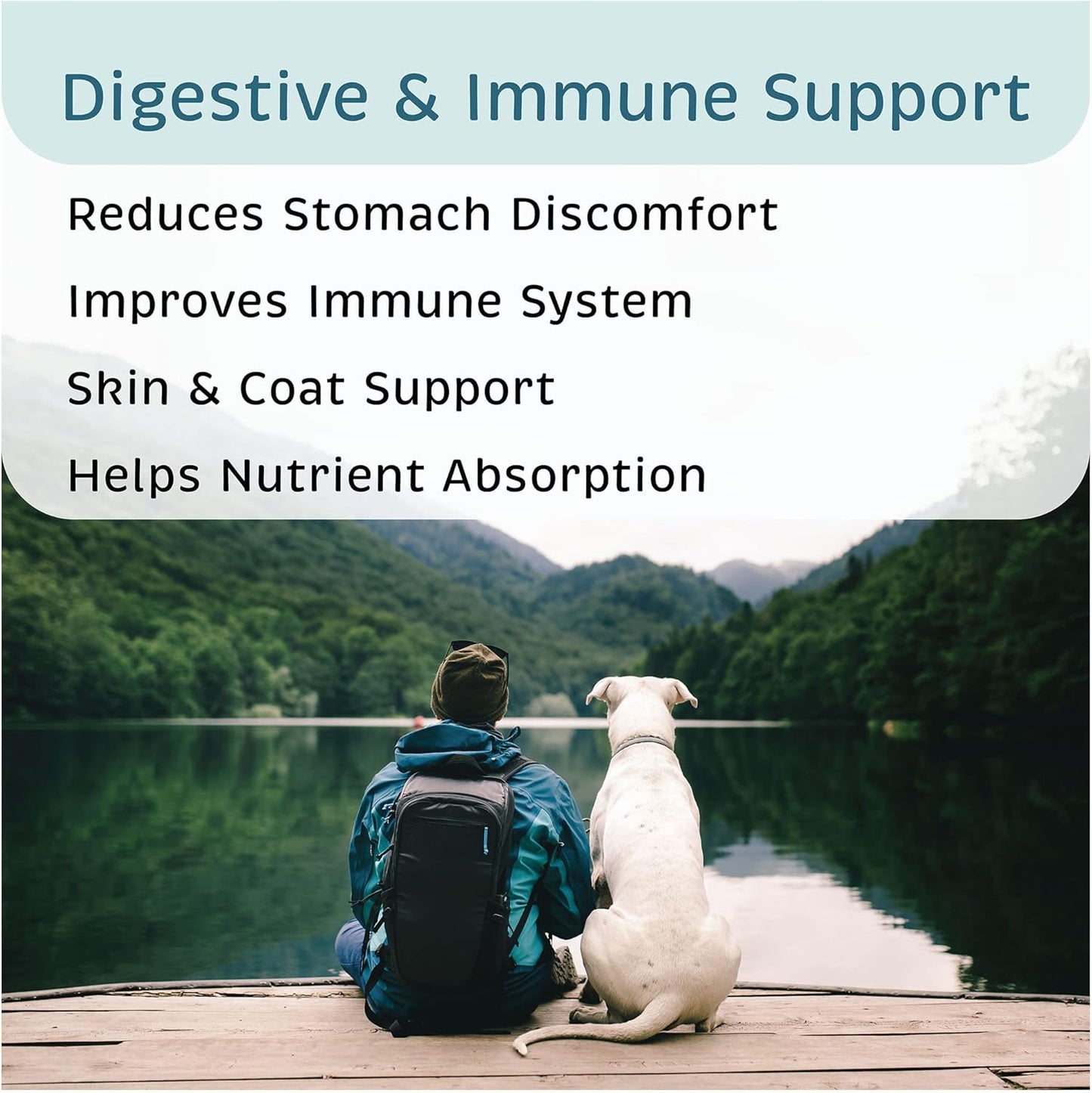 VetOne Advita Probiotic Nutritional Supplement for Dogs - 30 Packets