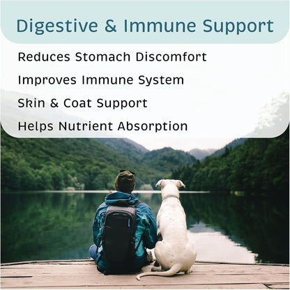 VetOne Advita Probiotic Nutritional Supplement for Dogs - 30 Packets