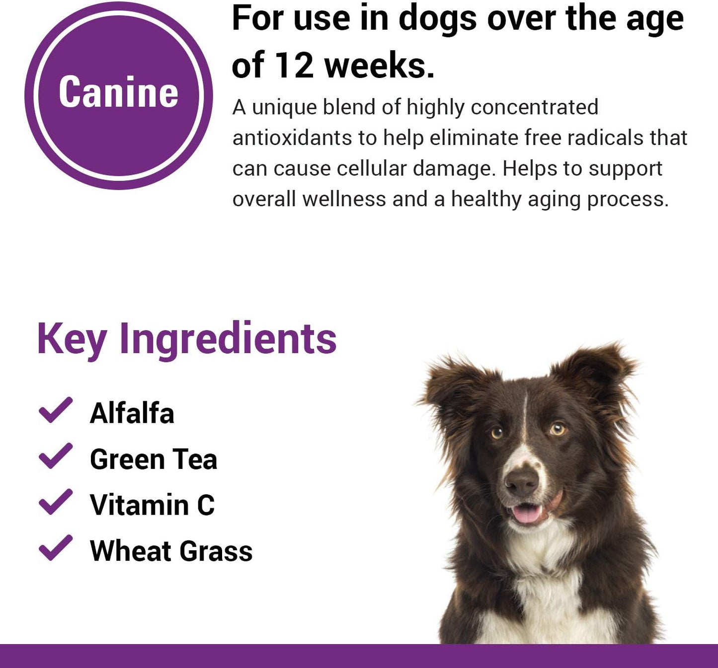 Vet Classics Antioxidants with Coenzyme Q-10 for Dogs, with Alfalfa, Green Tea, Vitamin C, & Wheat Grass, 120 Chewable Tablets