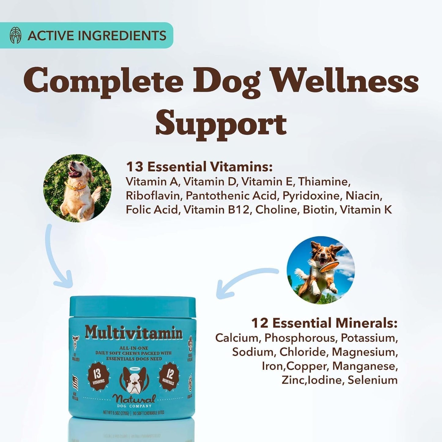 Natural Dog Company Multivitamin Chews & Super Seeds Food Topper Bundle – Daily Dog Supplement for Skin, Coat, Immunity & Nutrition – Peanut Butter Chews (90 ct) + Omega Superfood Topper (8 oz)