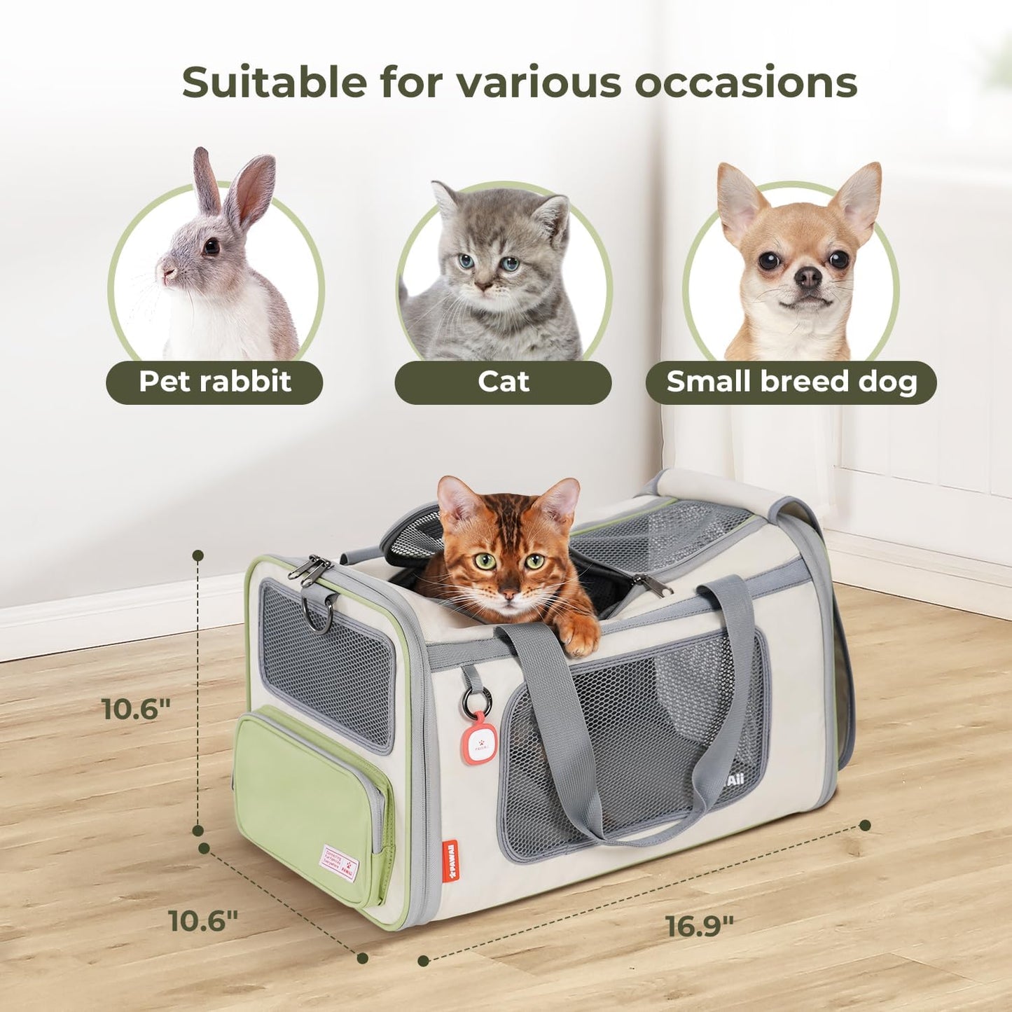 Cat Carrier with ID Tag and Double Stainless Steel Bowls(12 oz)