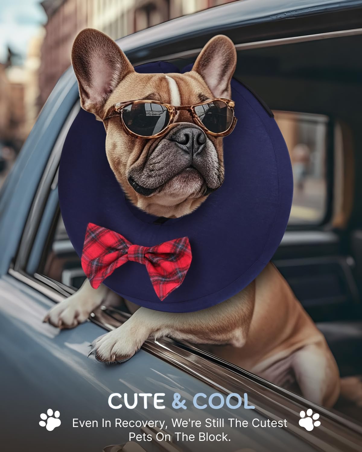 MIDOG Dog Cone Collar for Large Medium Dogs, Soft Inflatable Dog Cone Alternative After Surgery, Adjustable Protective Recovery Cone - Alternative E Collar Does Not Block Vision (Bow Tie,L)