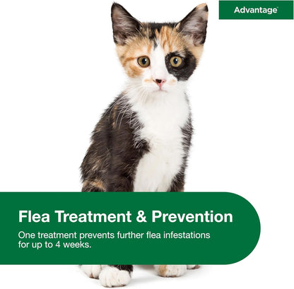 Advantage Topical Cat Flea Treatment and Prevention for Small Cats 2-9 lbs. | Apply Flea Drops Monthly | 2 Treatments