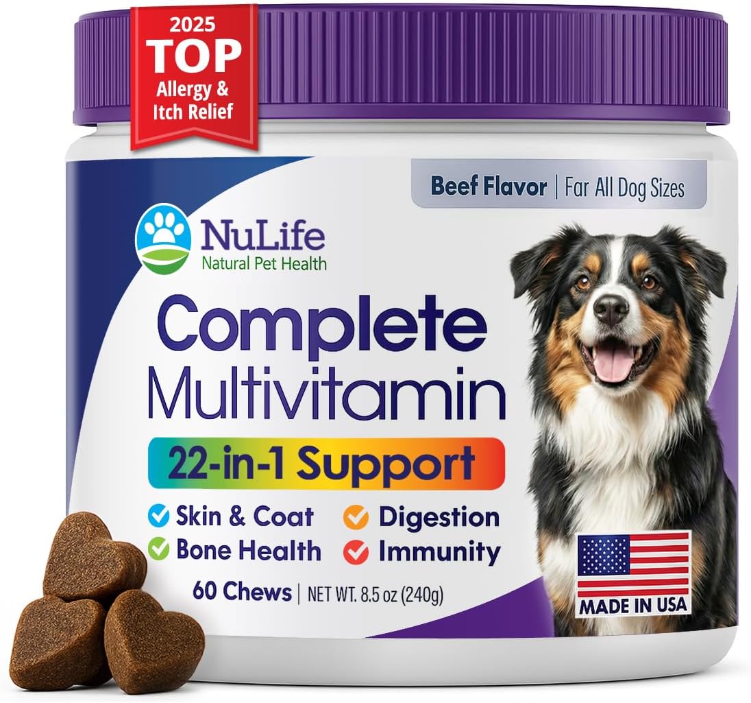 Dog Multivitamins Chewable Supplement - 22 in 1 Dog Vitamins for Itchy Skin & Coat, Immune System, Joints & Overall Health - Vitamins A, B, C, D, E, K & Antioxidants - 60 Chews - Beef Flavor
