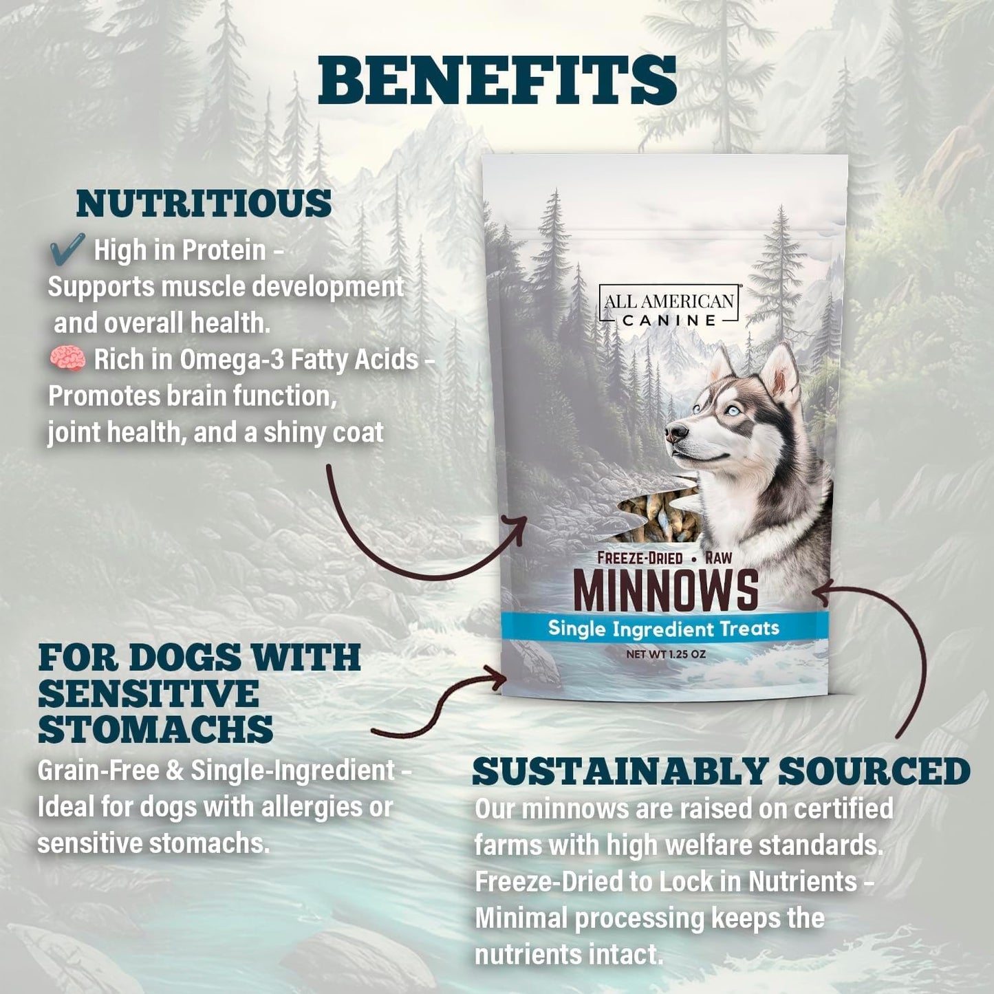 Freeze Dried Minnow Cat & Dog Treats 2 oz – Single Ingredient Whole Fish - USA Raised High Protein Omega‑3 Training Snacks for Cats Kittens Puppies Dogs