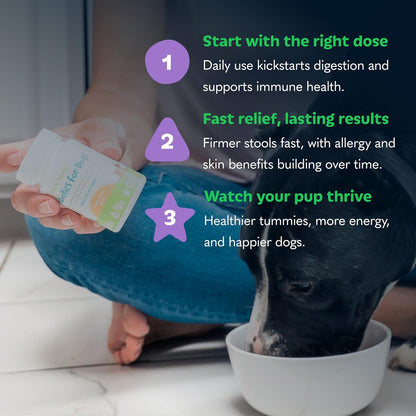 Tails ’N’ Tummies Probiotics for Dogs: 120 Tiny Tablets for Allergies, Itchy Skin, Diarrhea & Digestive Relief – Gentle, Clean Formula for Dogs (2 Bottles)