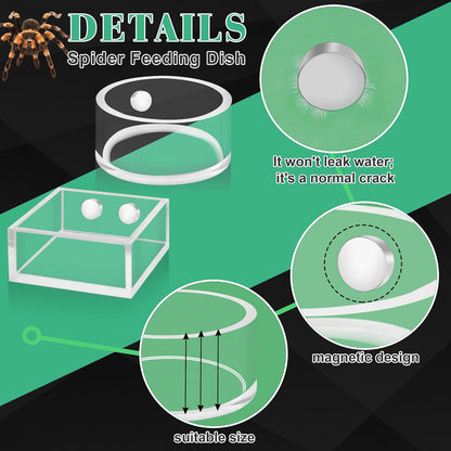 Windspeed 2+1P 1.8 in Mini Jumping Spider Feeding Dish Magnet Tarantula Water Bowl for Spider Feeder Water Dish for Tarantula Tank Enclosure Accessories, with A Dropper