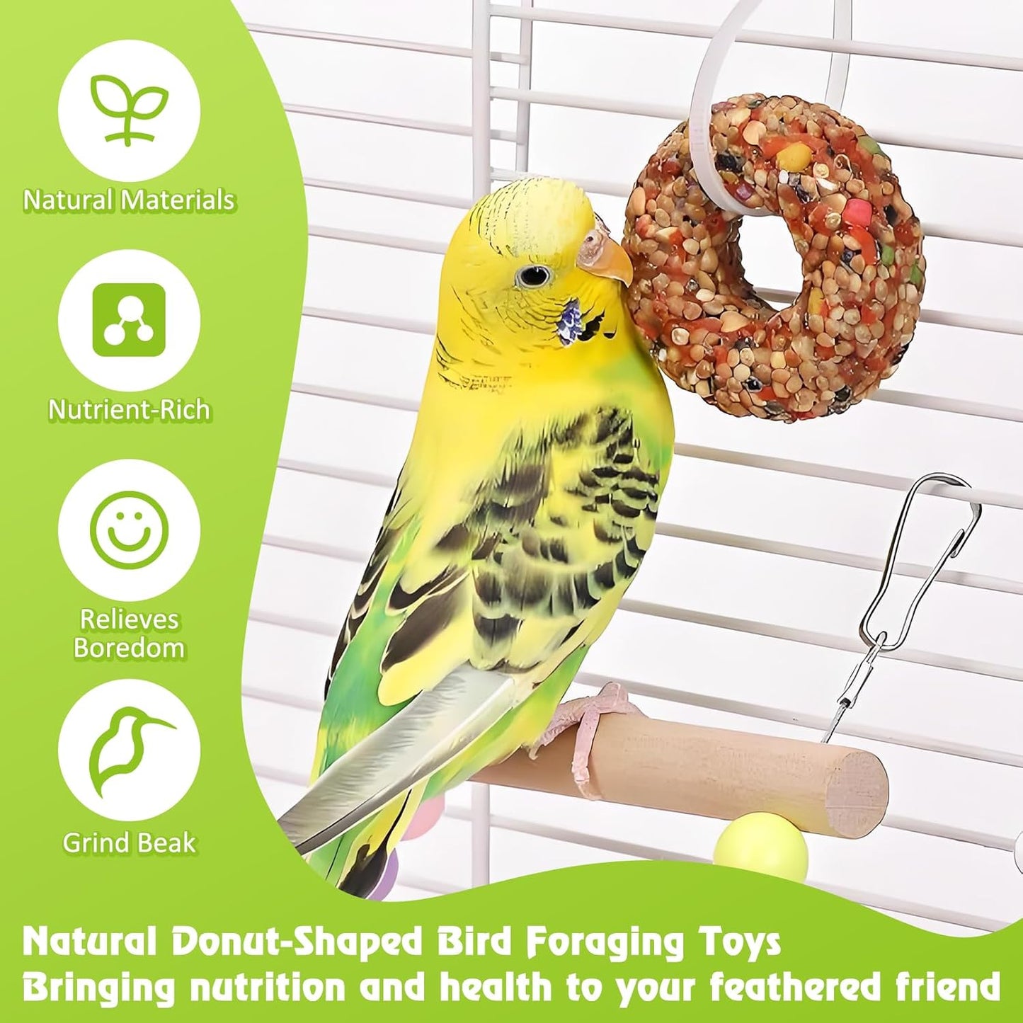 kathson Parakeet Treats, 8 Pcs Donut Shaped Bird Snacks, Grain Fruits Vegetables Herbs Mixed Parrot Treats, Natural Cockatiel Food for Conure Budgie Canary Chewing